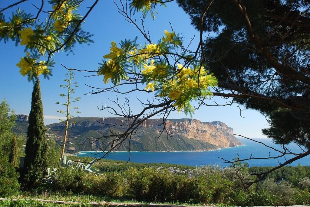 شقة كاسيس  في Belle Vue Mer المظهر الخارجي الصورة